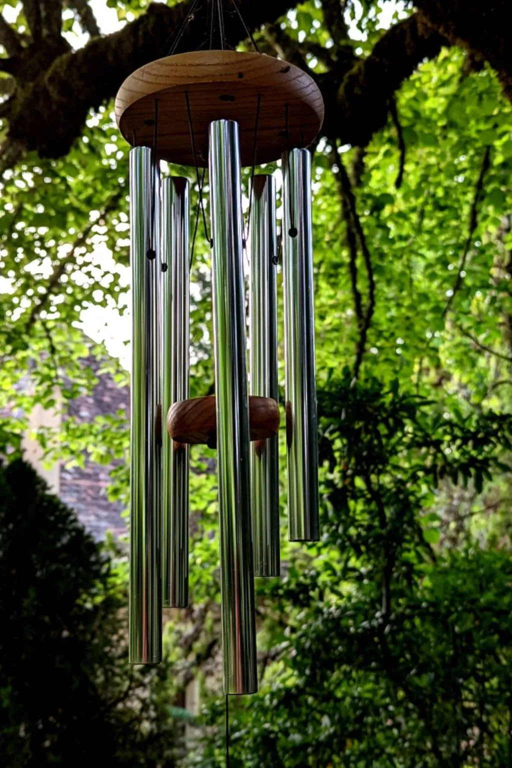 Im Herzen des Périgord Noir in der Nähe von Limeuil-Binnen