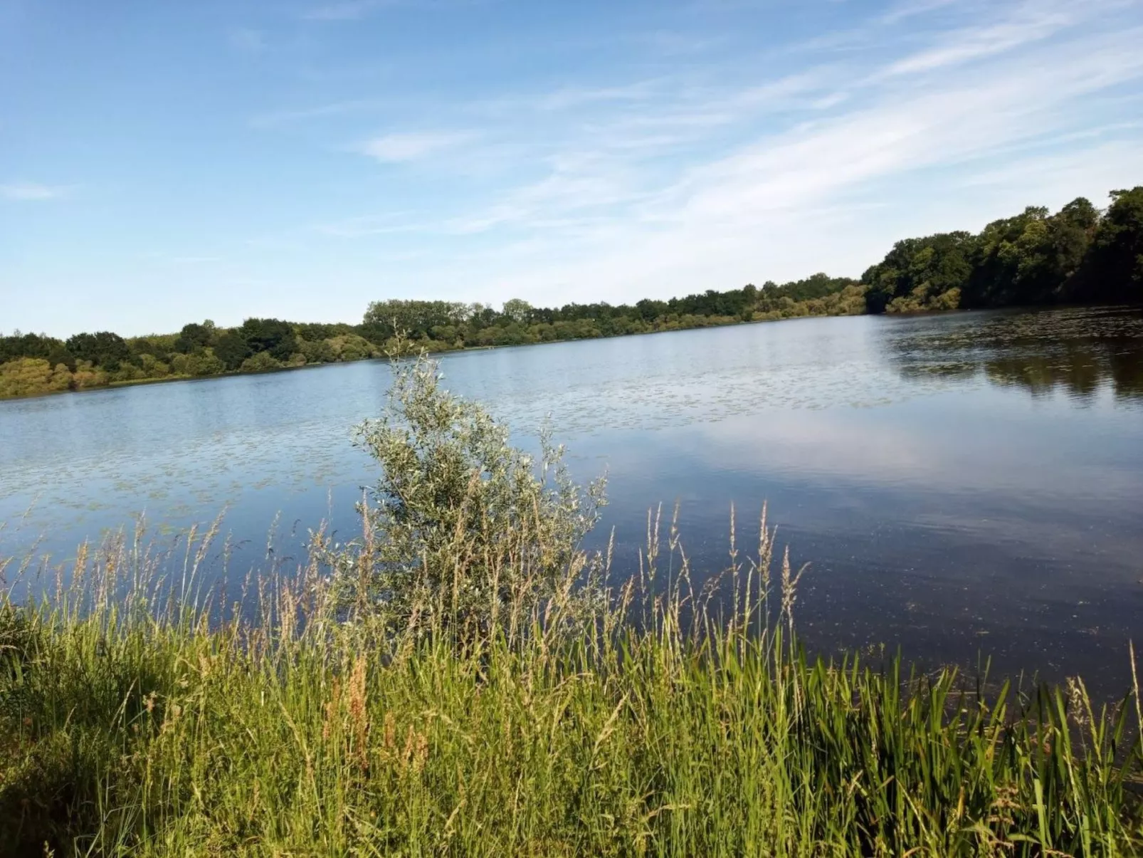 Villa La Côte du Chat -Familienhaus Bretagne-Binnen