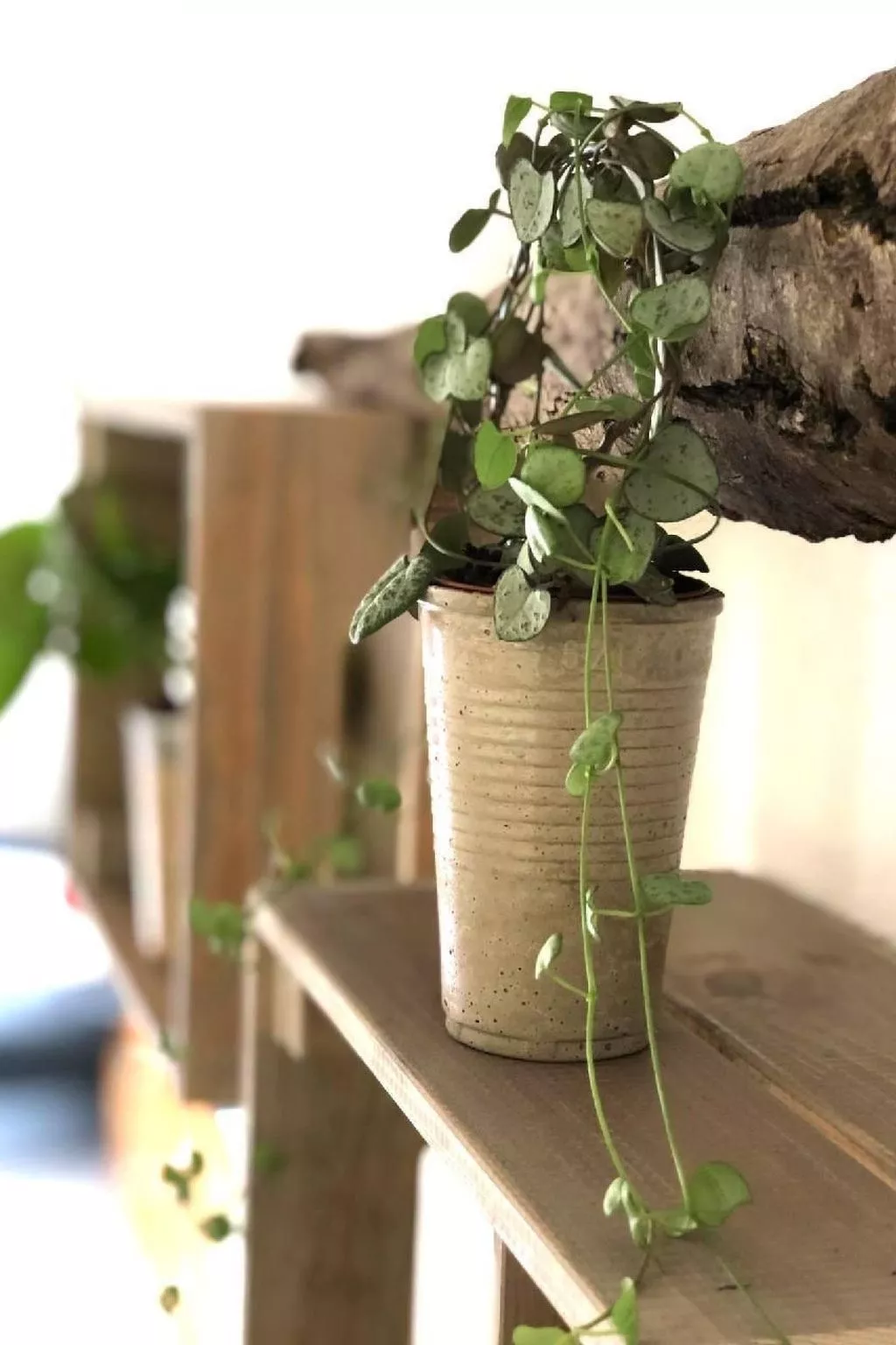 Mit Bergblick-Binnen