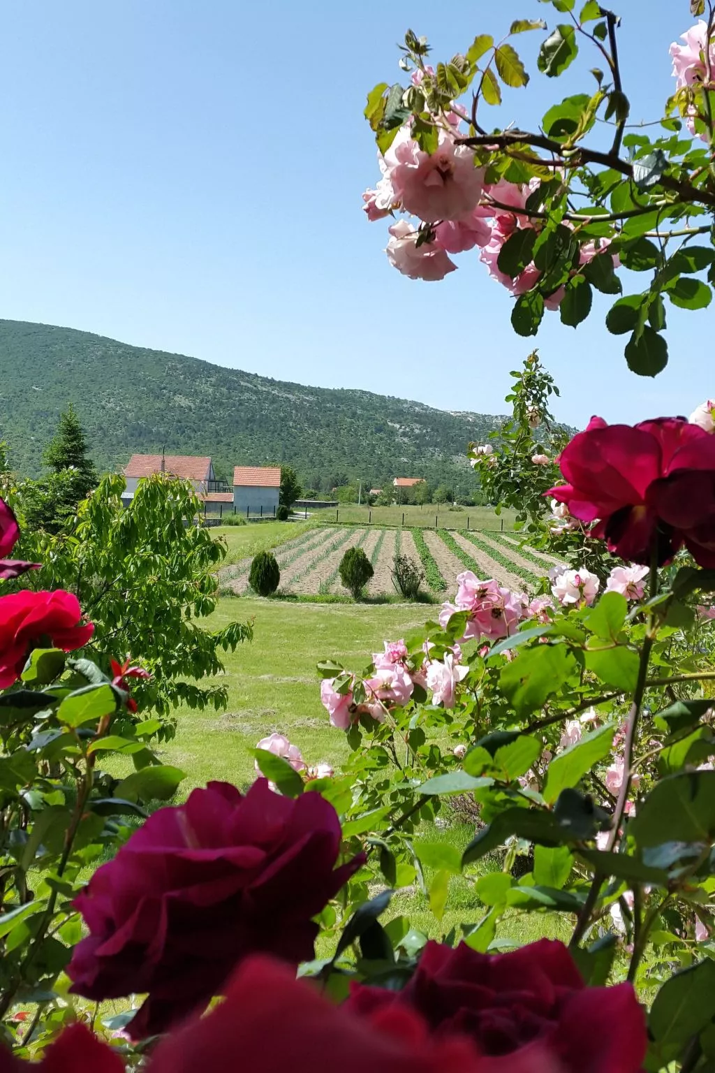 Anwesen "Villa Almas, Sauna, Fitnessraum, Multisport-Binnen