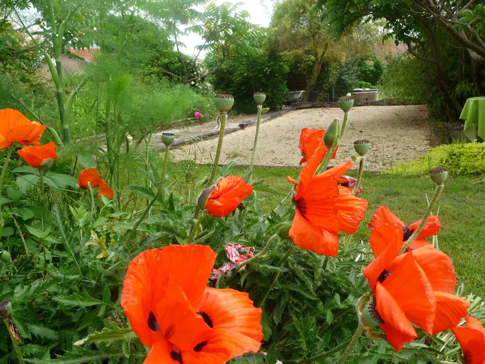 Domaine "Chez Marianne" mit Privatparkplatz-Binnen