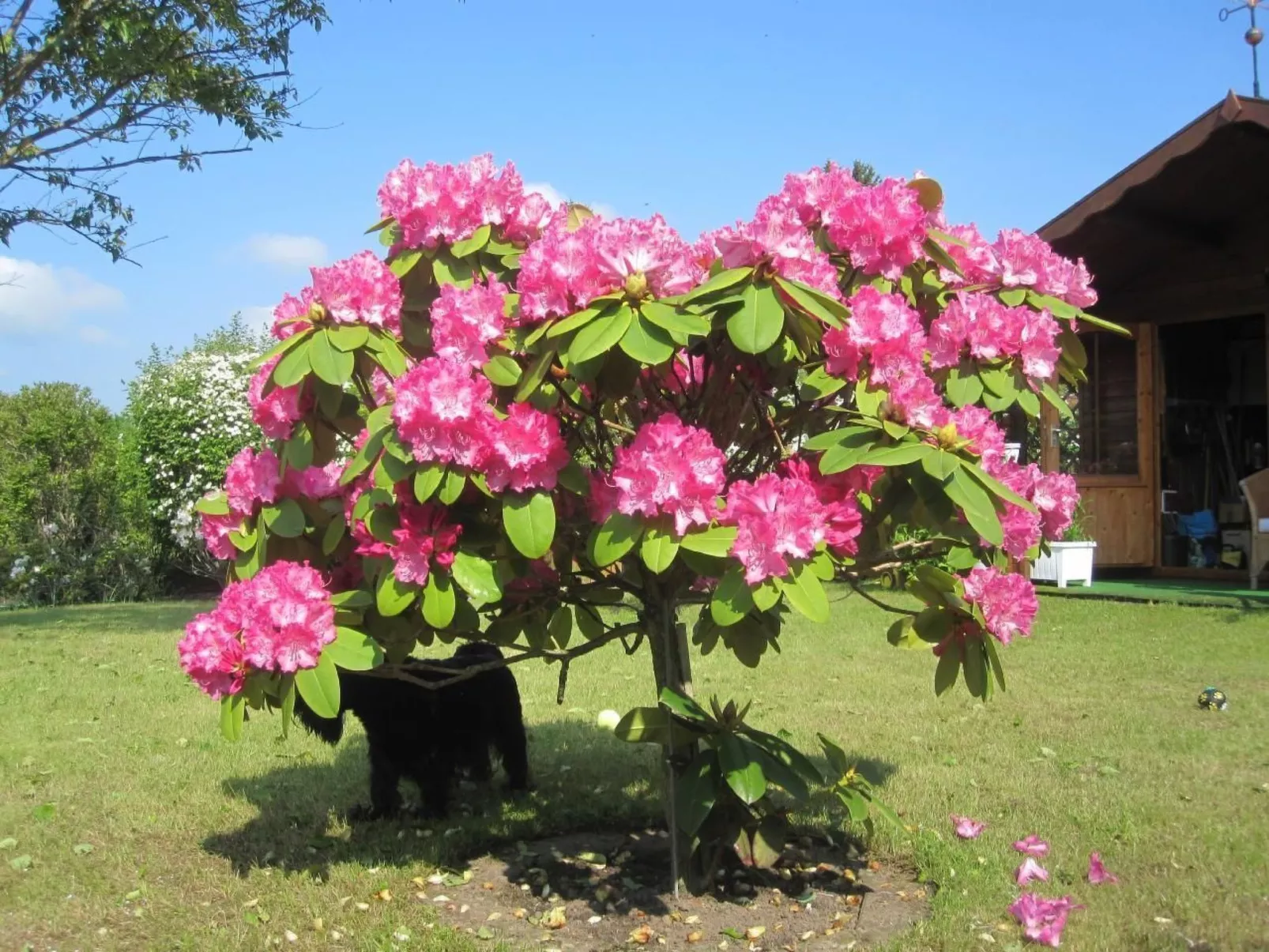 Landhaus am See-Binnen