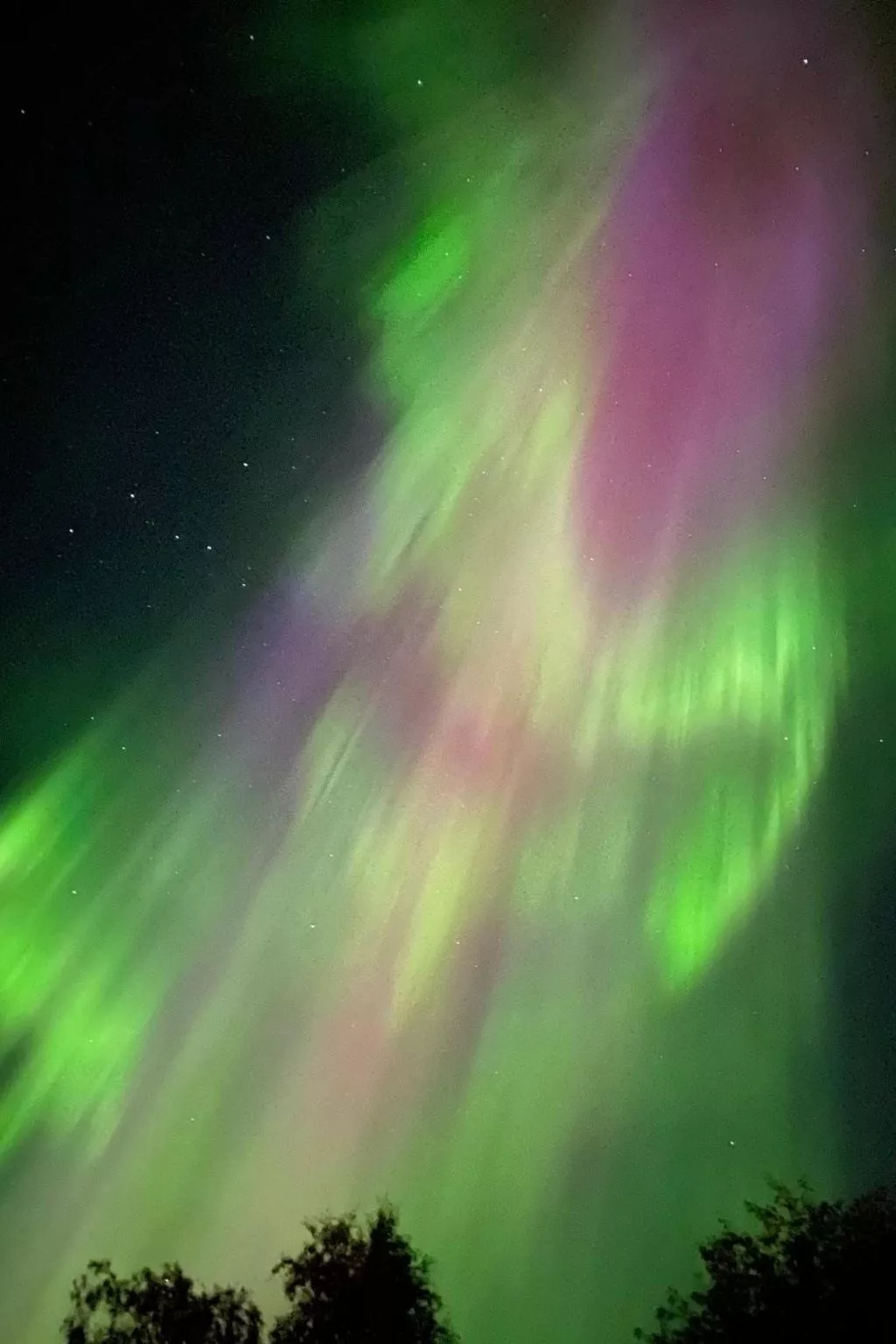 "Villa Tina"-Image-tags.info