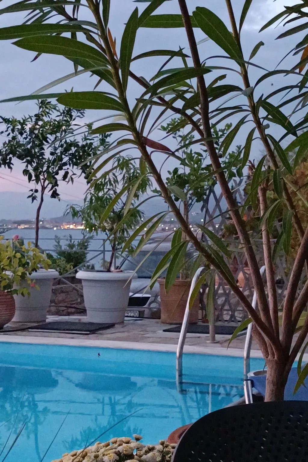 Blue Elefant-Image-tags.info