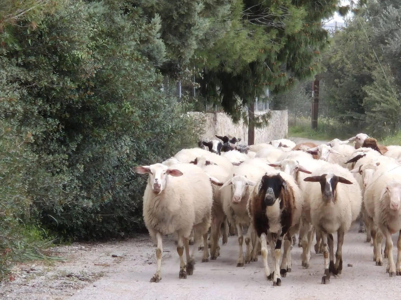 "Villa Newlands" - Pool, Meer und Inseln-Binnen