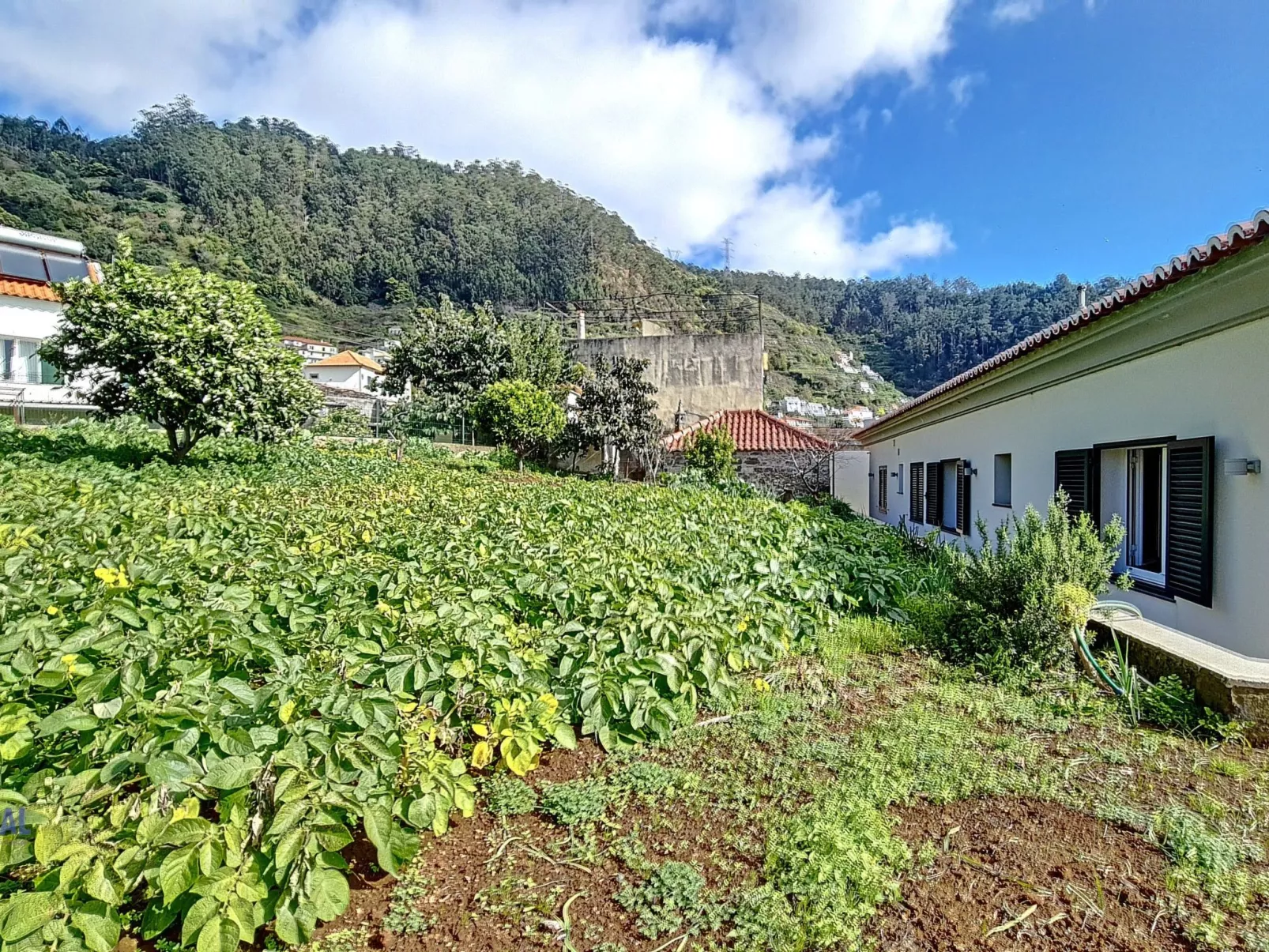 Yohannas Unterkunft-Binnen