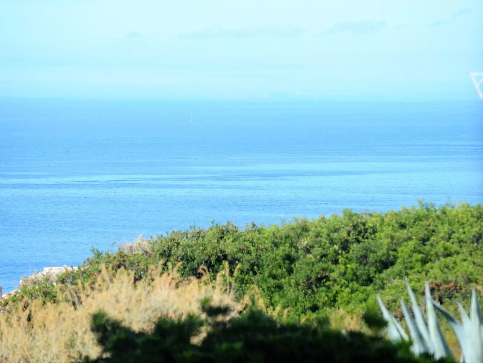 Wohnung mit Blick auf das Wasser-Image-tags.info