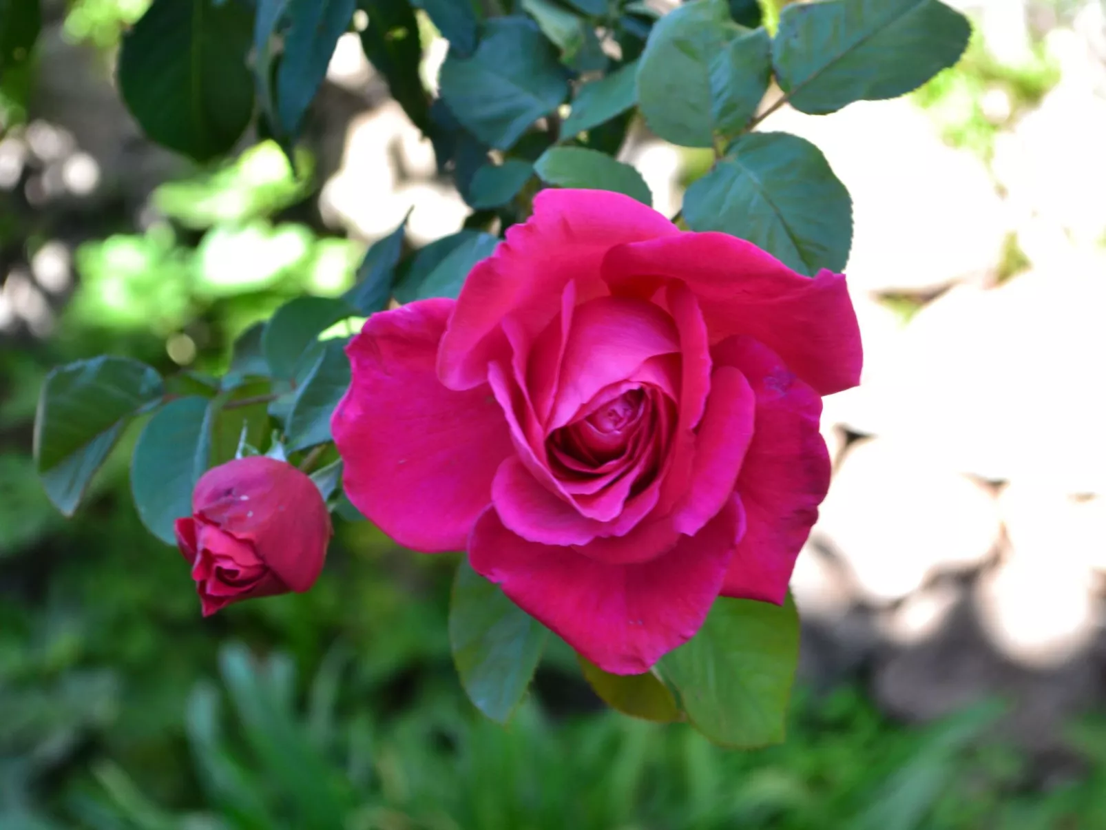 Luxuriöse Privatvilla mit Infinity-Pool-Buiten