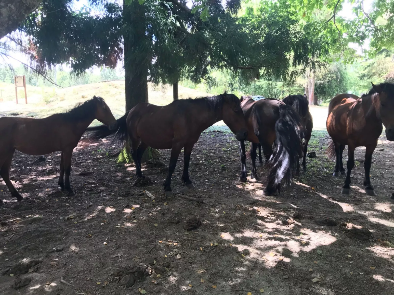 Casas das Olas 6 - Großartige Aussicht, 2 Pools, idealer Ort zum Entspannen und-Buiten