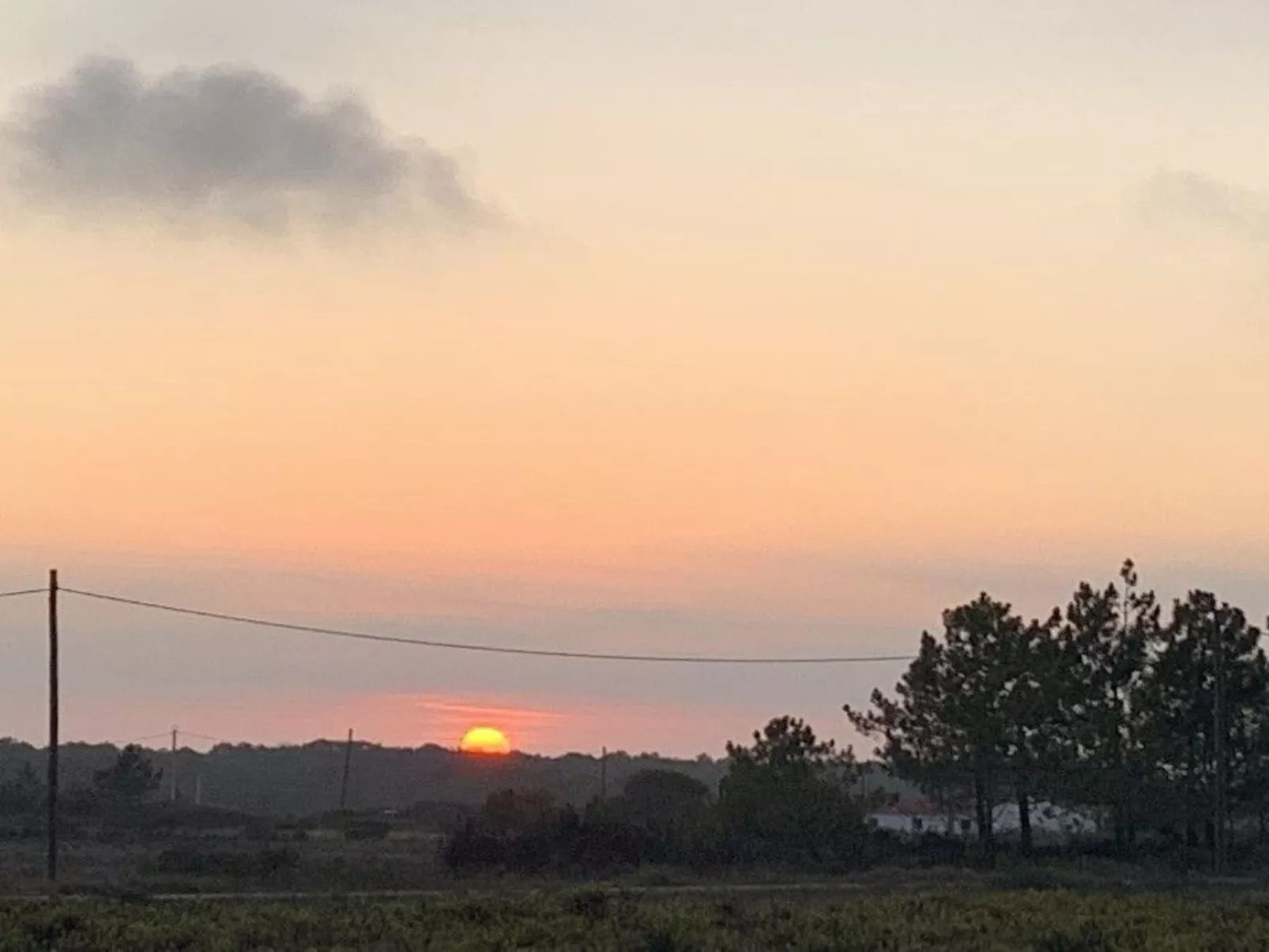 Auf dem Lande in der Nähe des Strandes-Image-tags.info