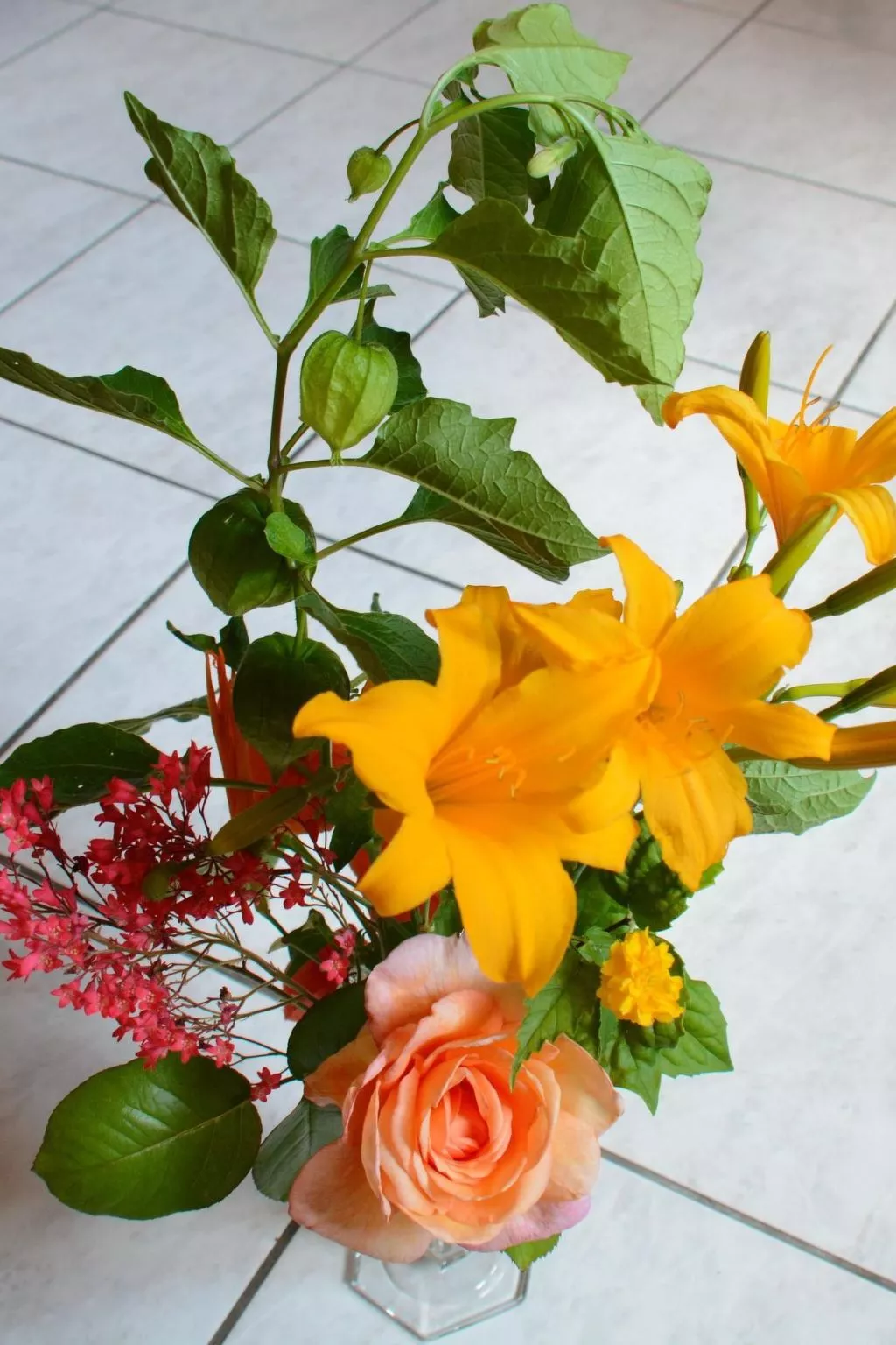 La Maison Bleue im Zentrum des Elsass in Bergheim-Binnen