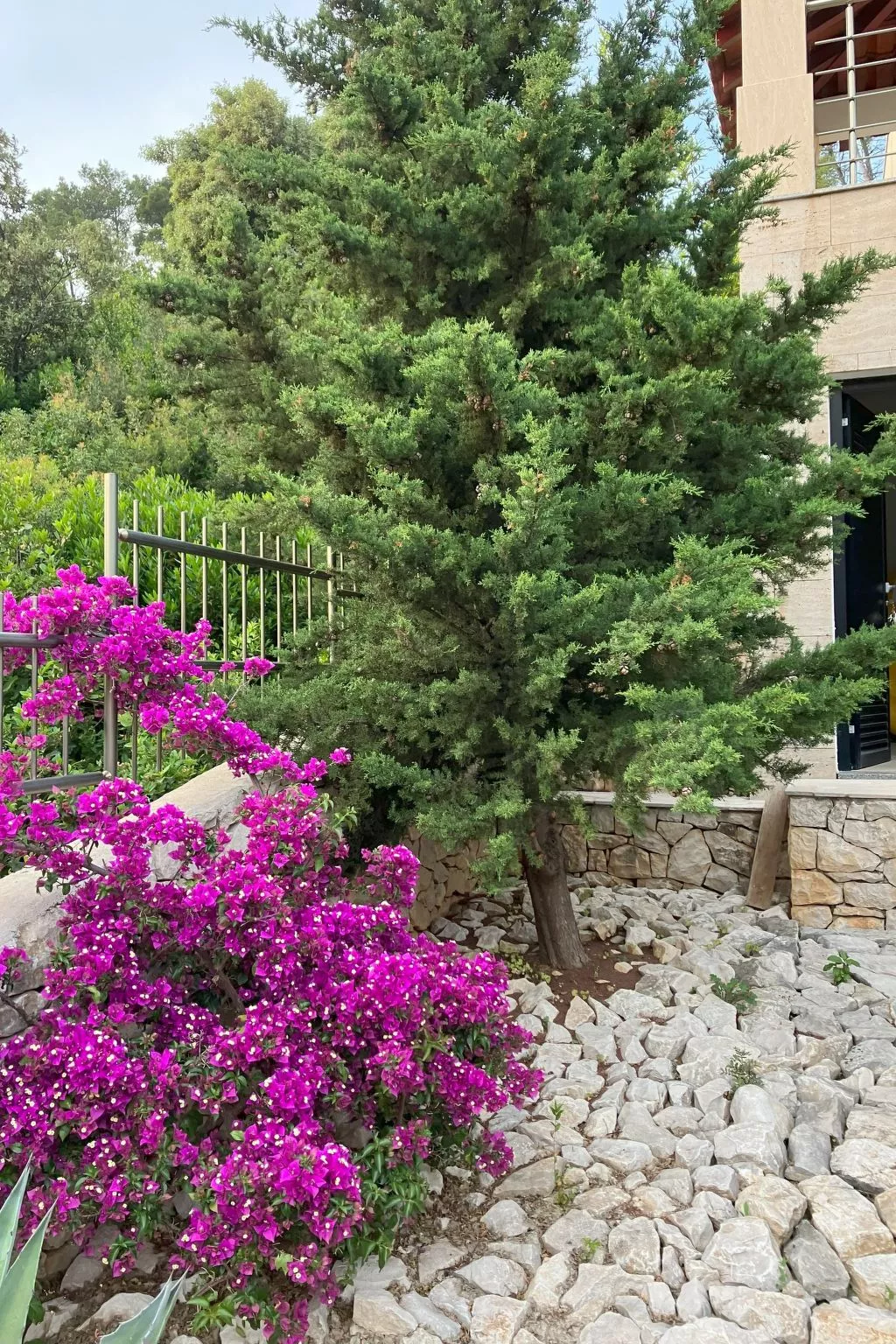 Luxuriöse Villa Hera,  Korcula,  am Strand-Image-tags.info