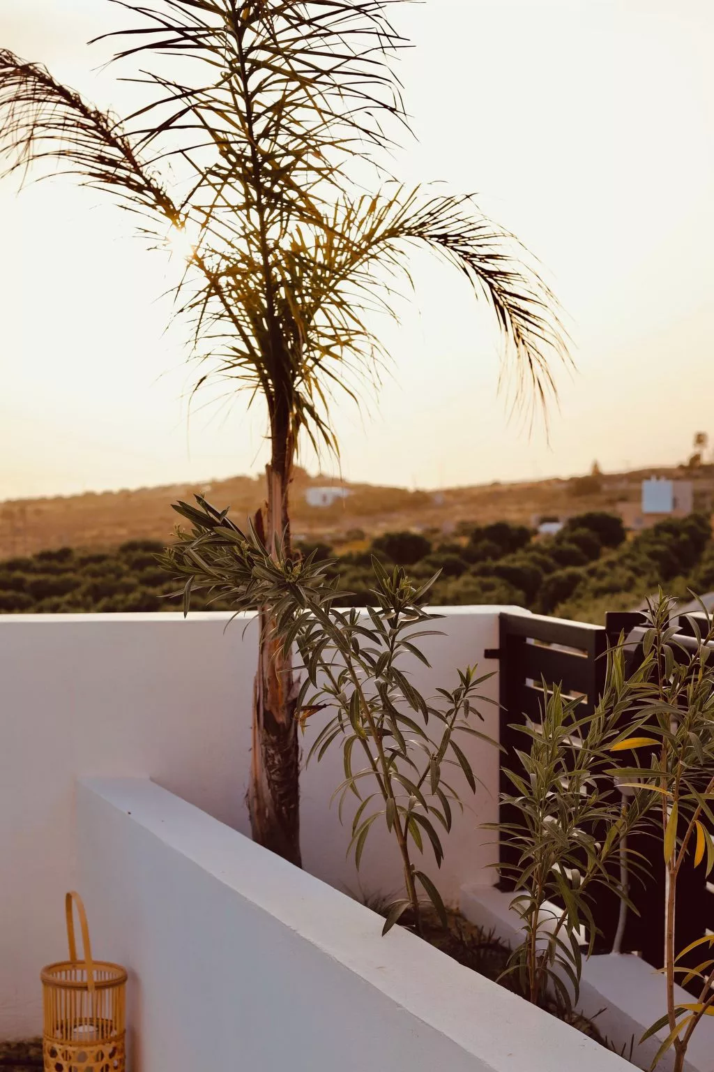 "Villa Nepenthe"-Buiten