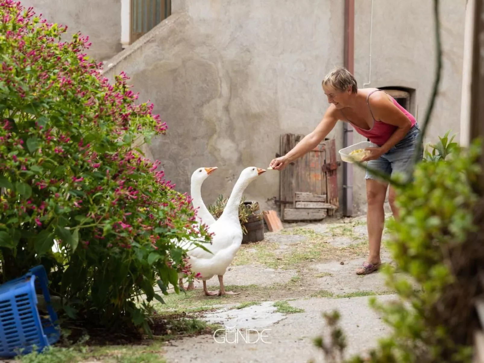 Das Bauernhaus - La Casa Contadina-Binnen