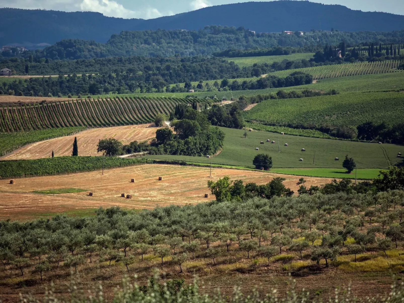 Belvedere B4' Wohnung mit Gemeinschaftspool-Image-tags.info