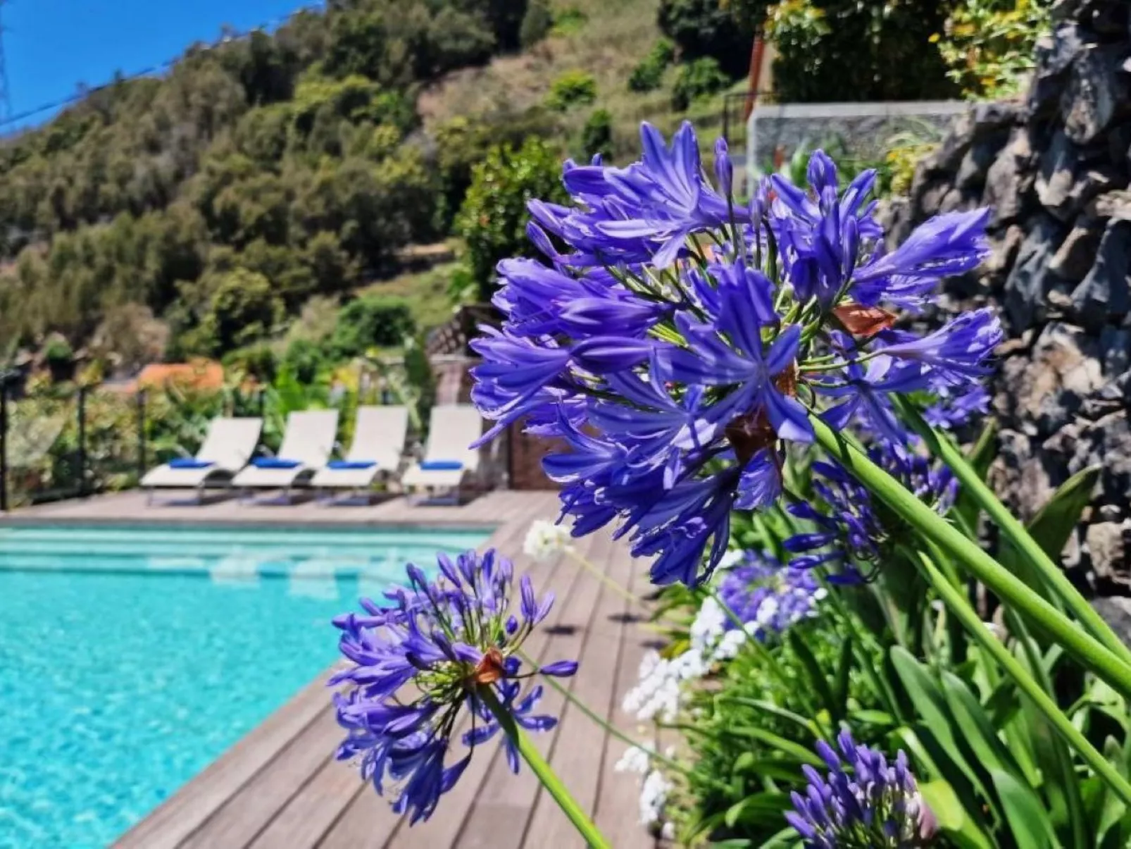 Villa "Casa Laranja" mit Bergblick-Image-tags.info