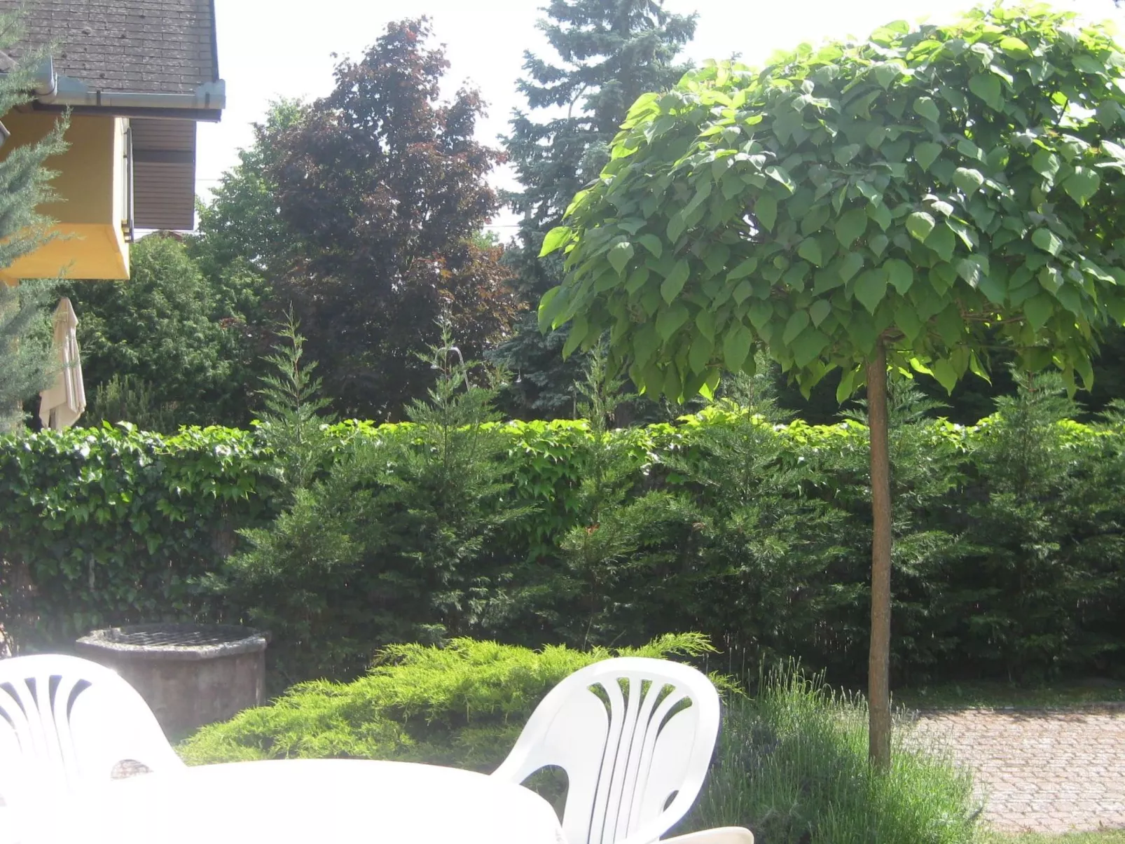 Mit gemeinschaftlichem Pool-Binnen