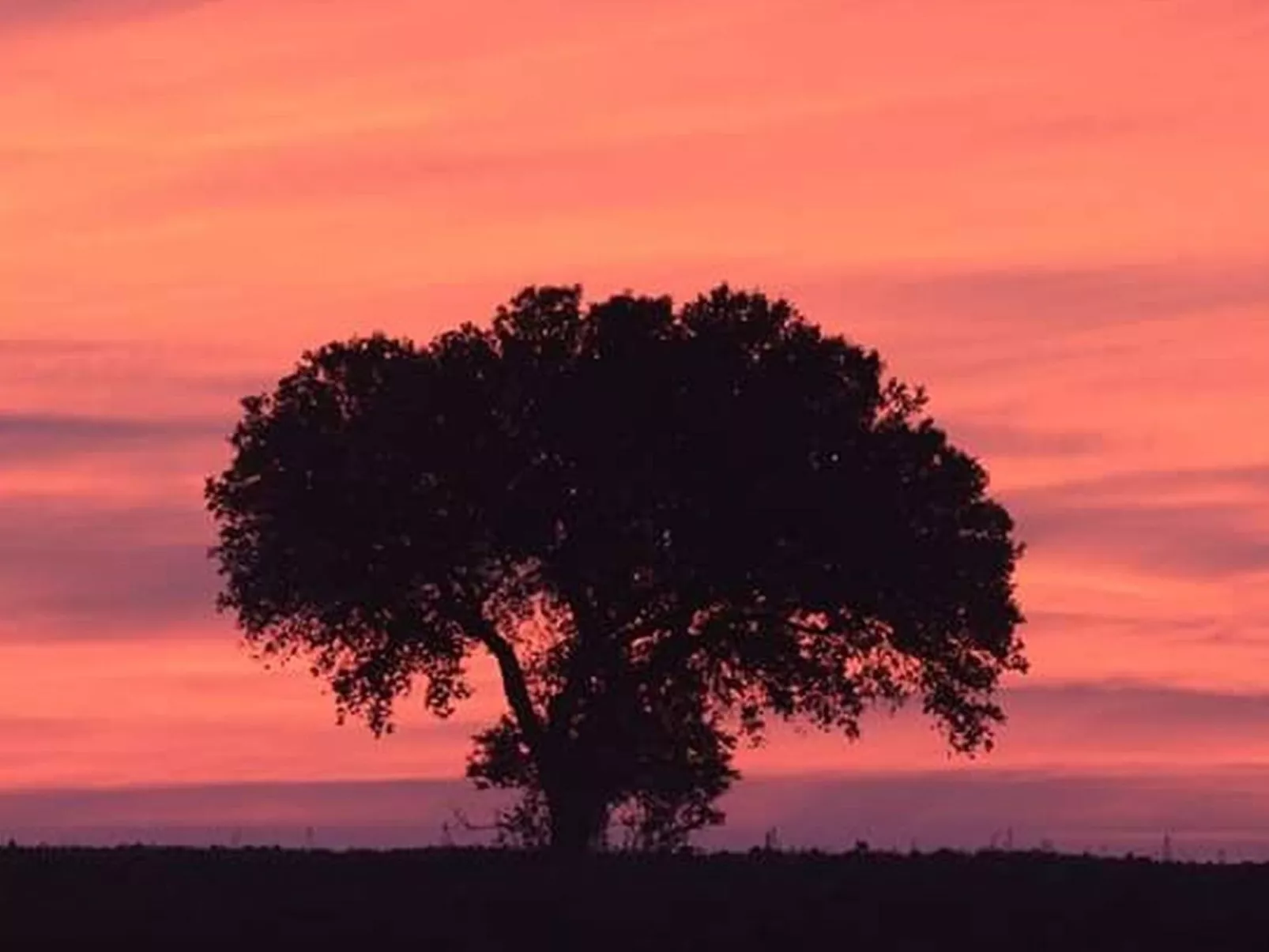 Monte Horizonte Casa Passaro Öko und Natur-Buiten