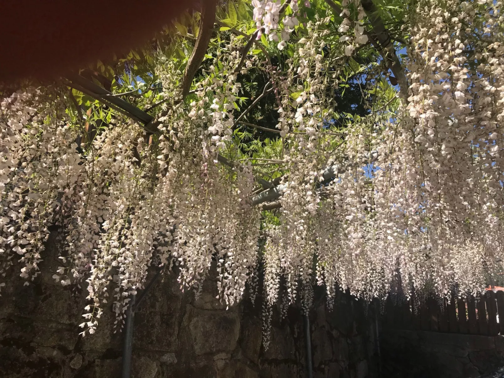 Casas das Olas 7 - Großartige Aussicht, 2 Pools, idealer Ort zum Entspannen und-Buiten
