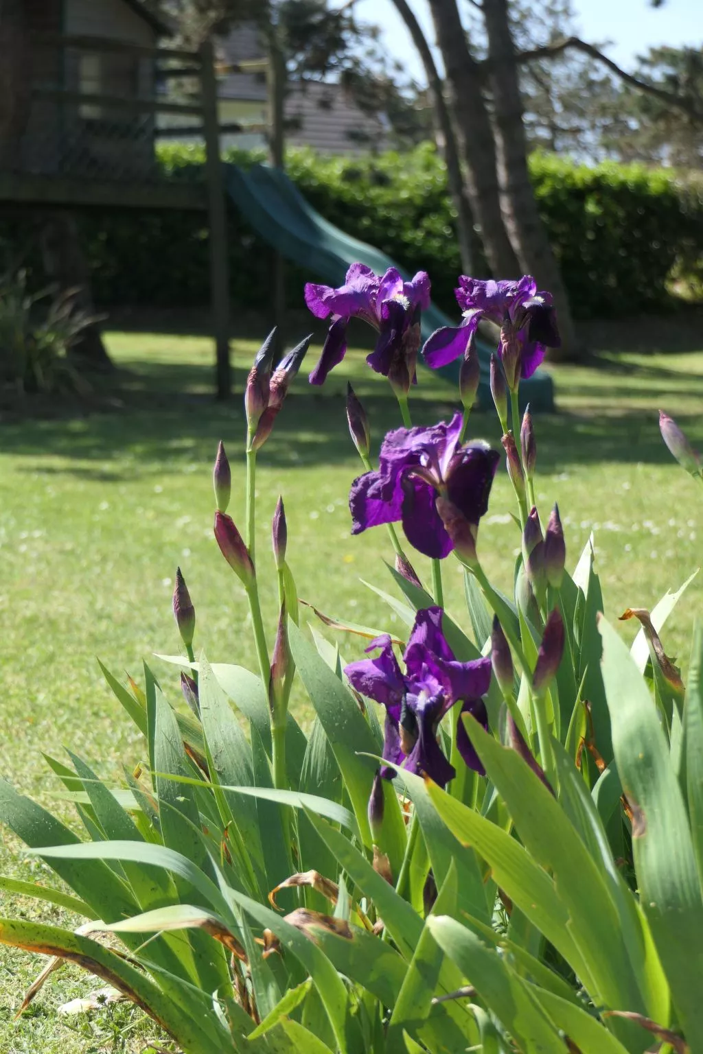 "8883" in Strandnähe-Binnen