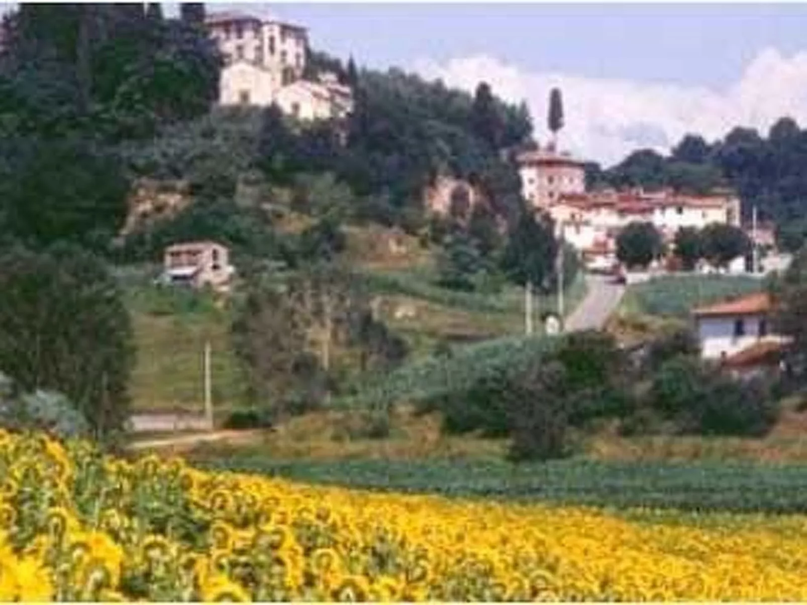 Wohnung 'La Colombaia' mit Terrasse-Buiten