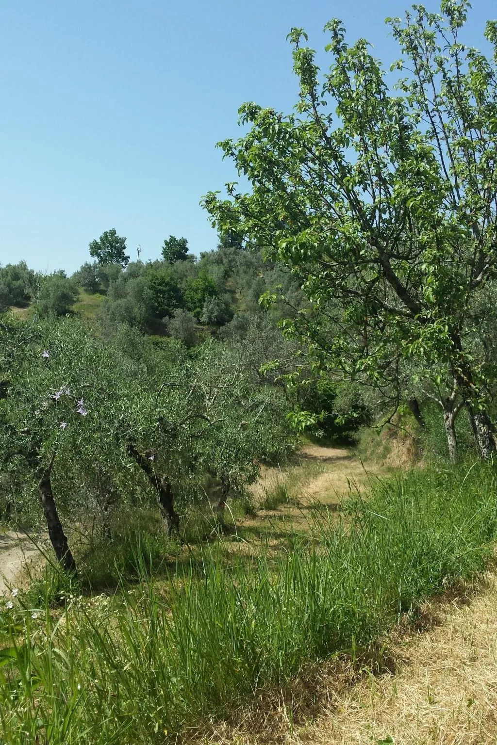 Das Gästehaus-Binnen