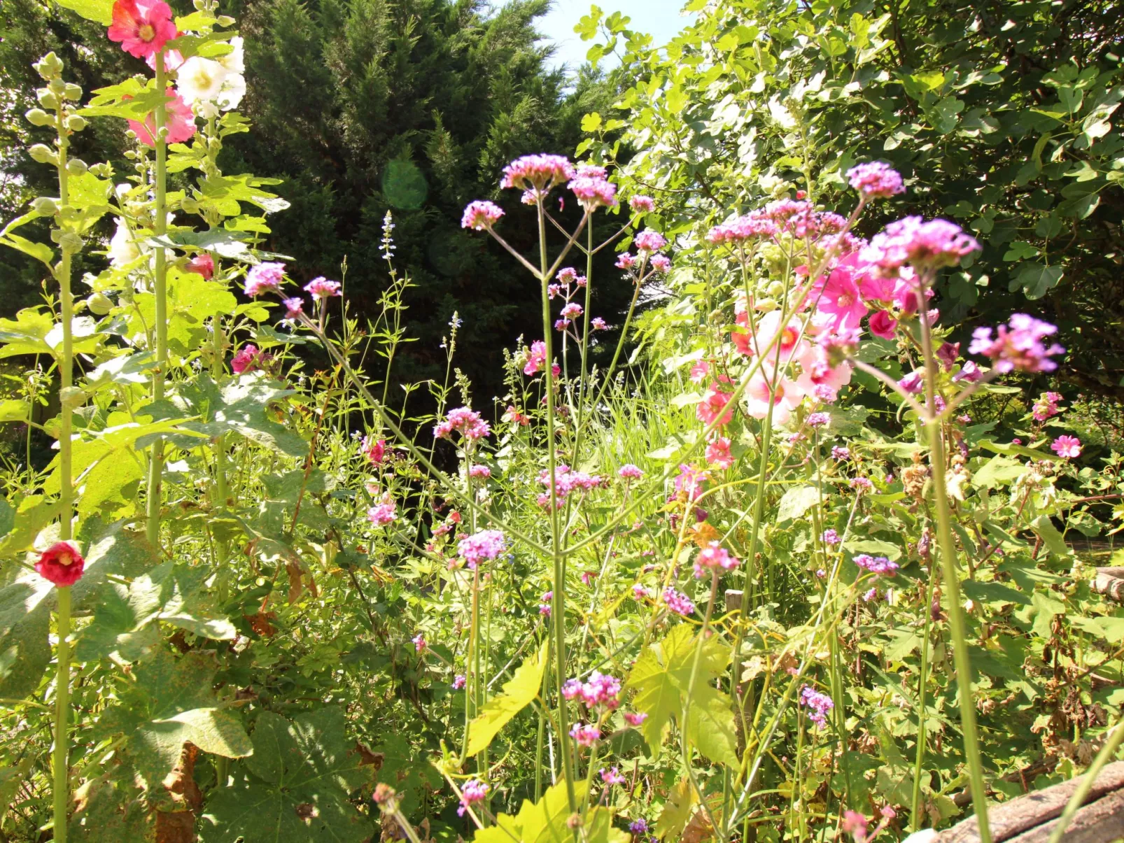 Komfort, Ruhe, privater Pool, EV-Ladestation-Binnen