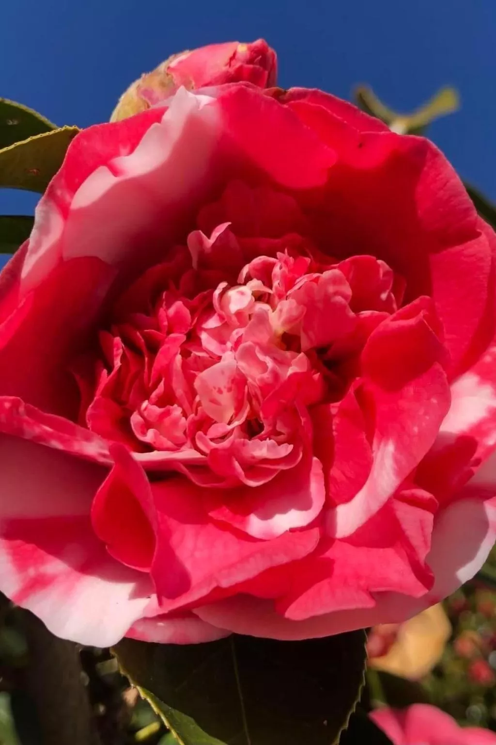 Casa Tintinnio-Binnen