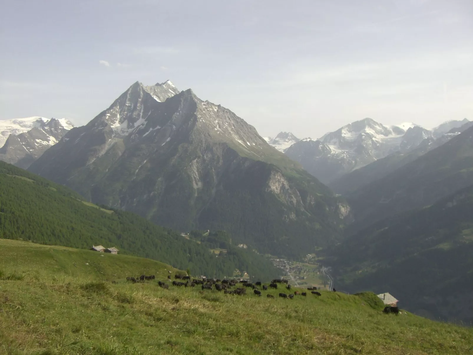 Alp 2100 - Mayen exklusiv-Image-tags.info