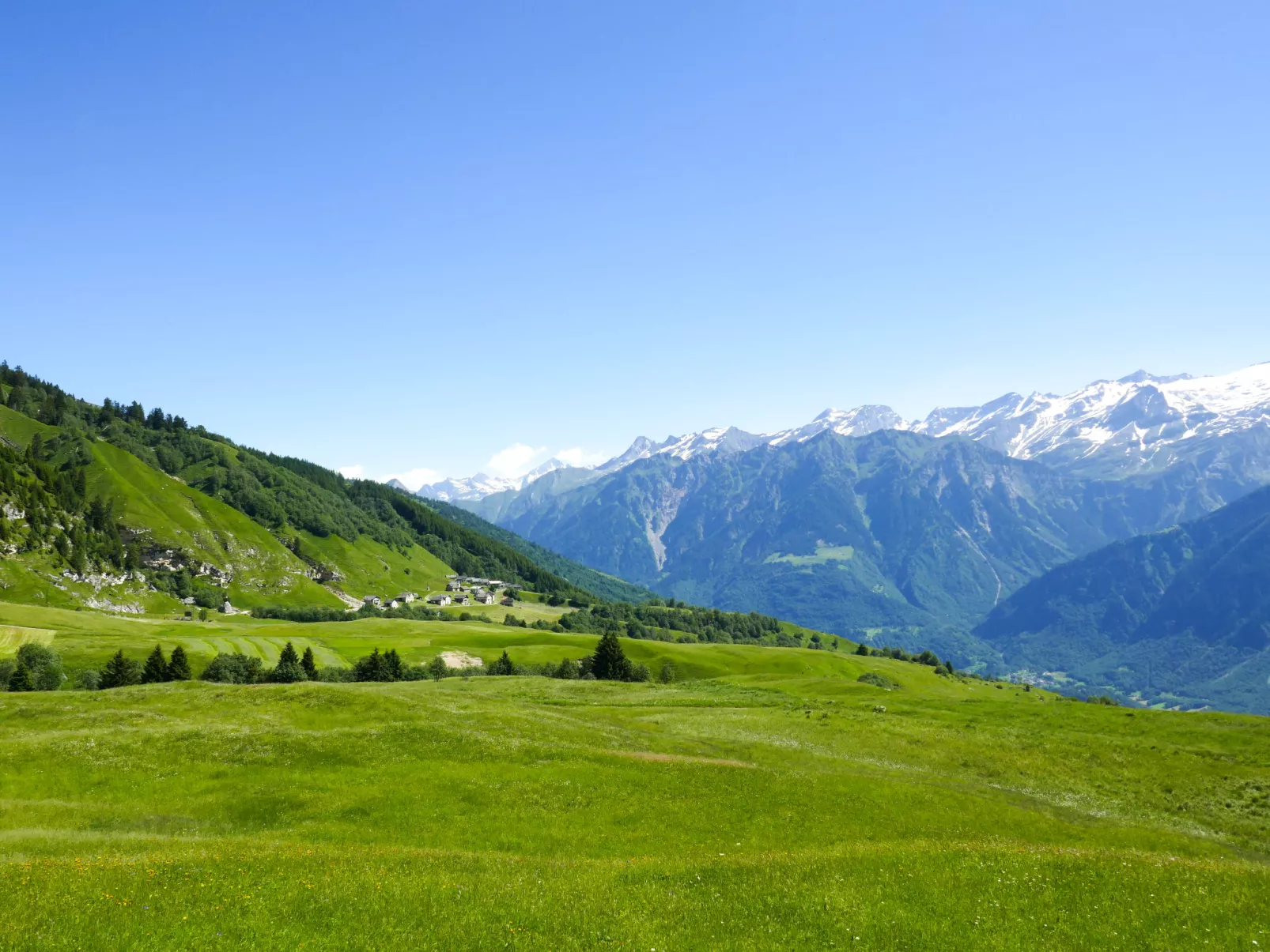 Genießen Sie das 'Attico Adula' in Cà Nizza-Omgeving