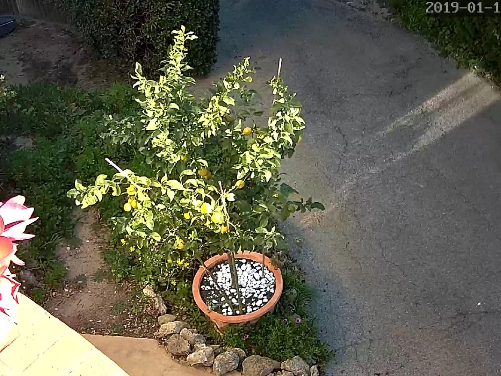 Erdgeschoss der Villa du Pébrier Côte d'Azur Saint Aygulf-Binnen