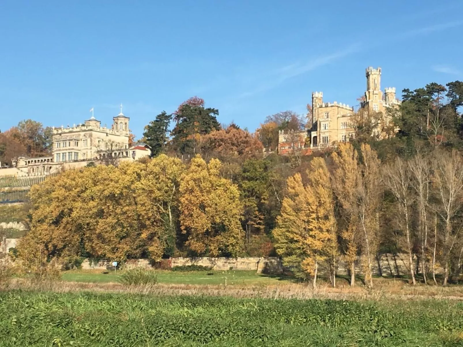 Dittrich in Pirna-Binnen