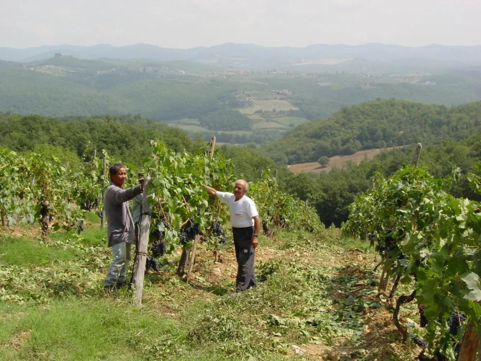 Schloss Selvole B4-Buiten