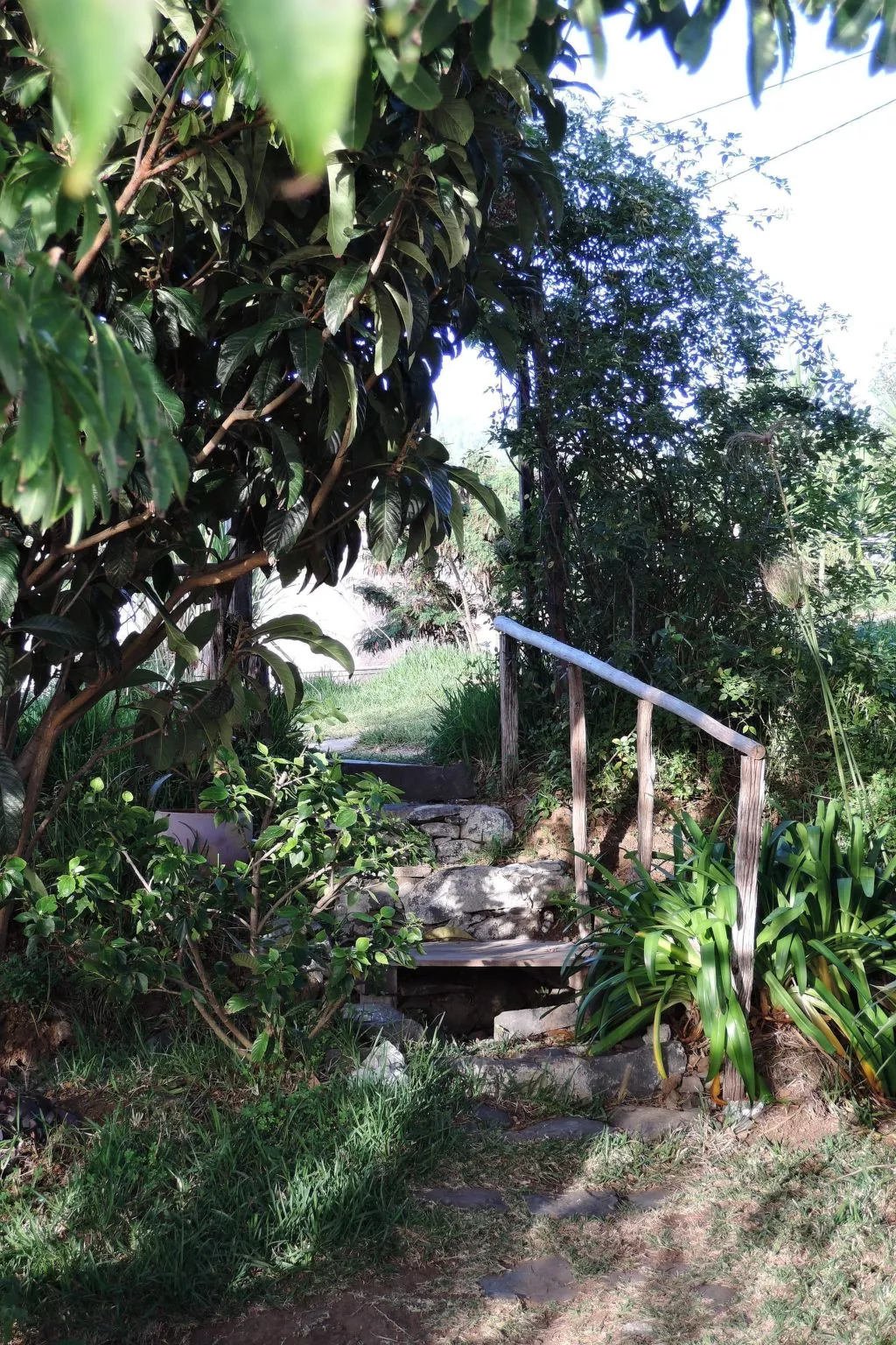 In Canhas mit Schönem Garten-Buiten