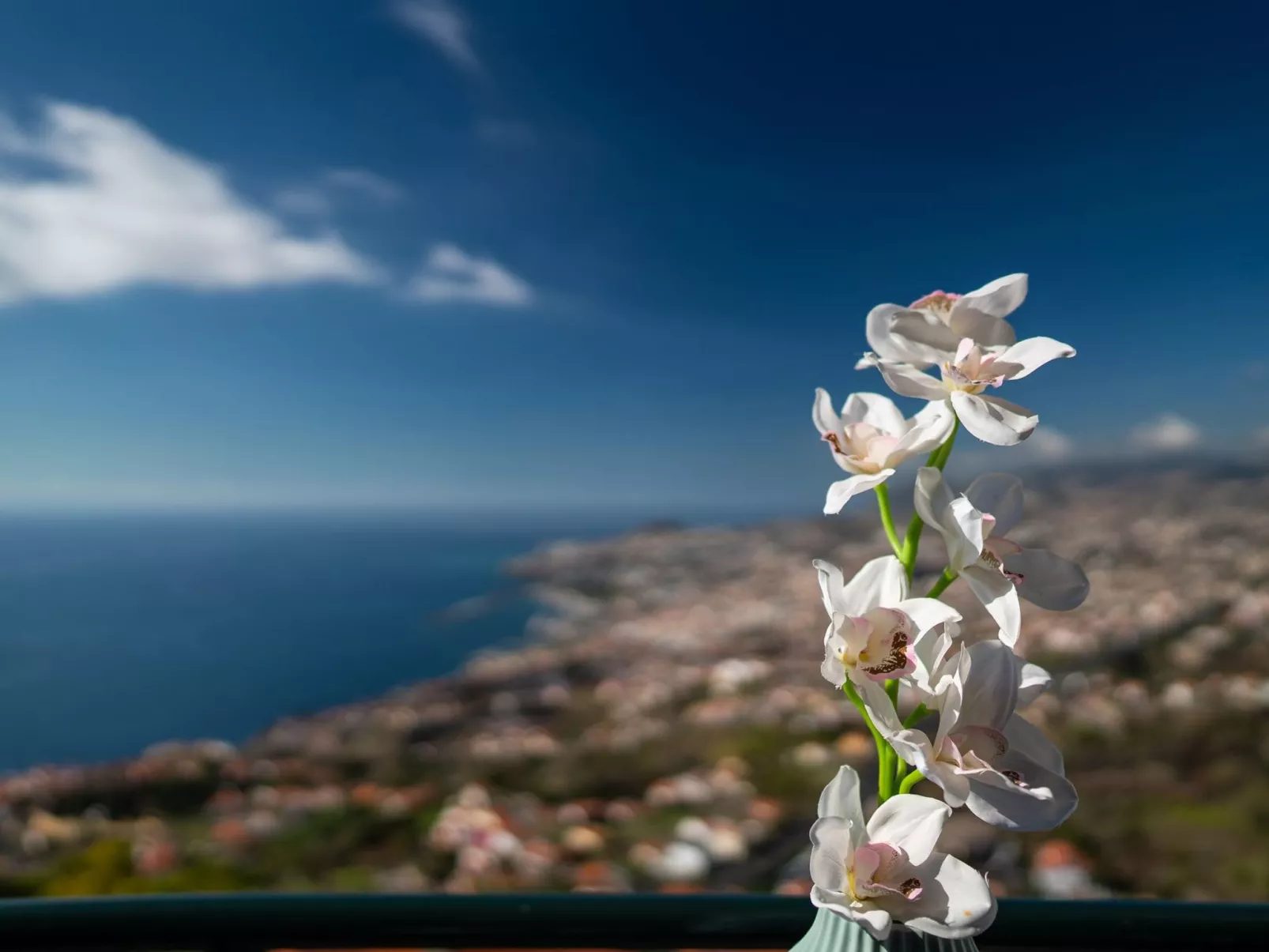 Atlantischer Ozean Wohnung-Image-tags.info