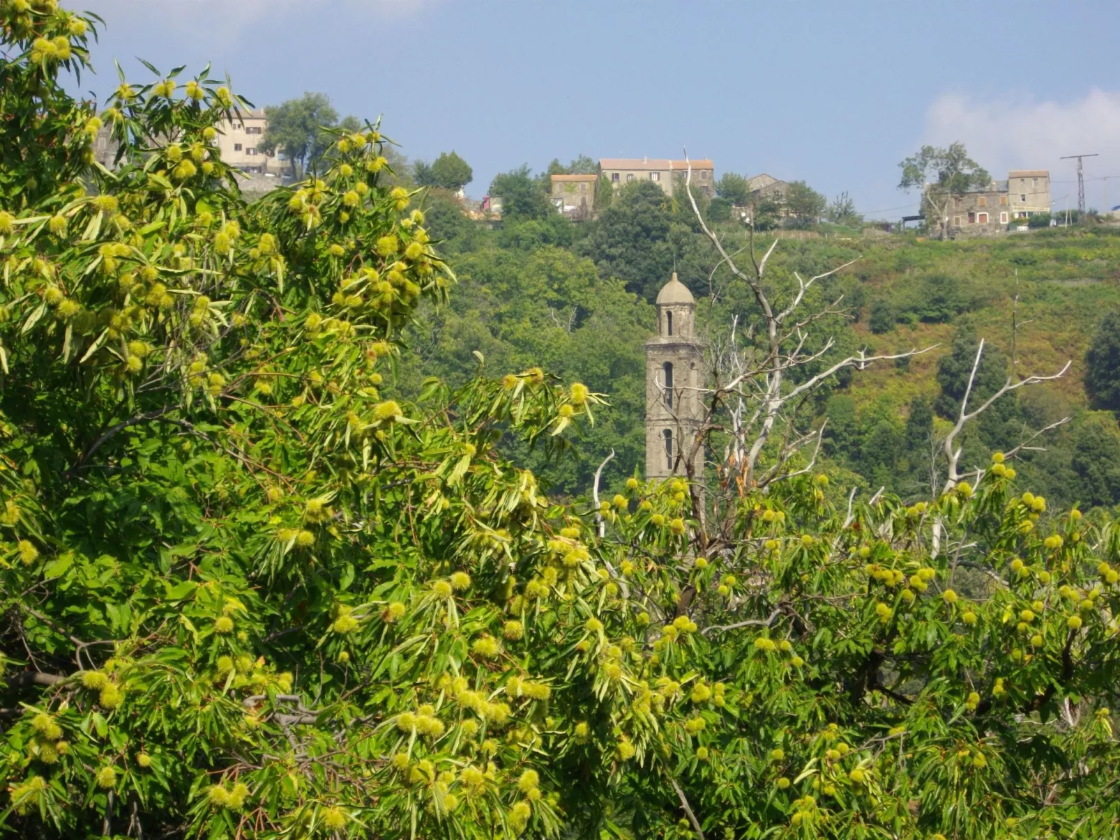 Sole e Ventu 50qm-Binnen