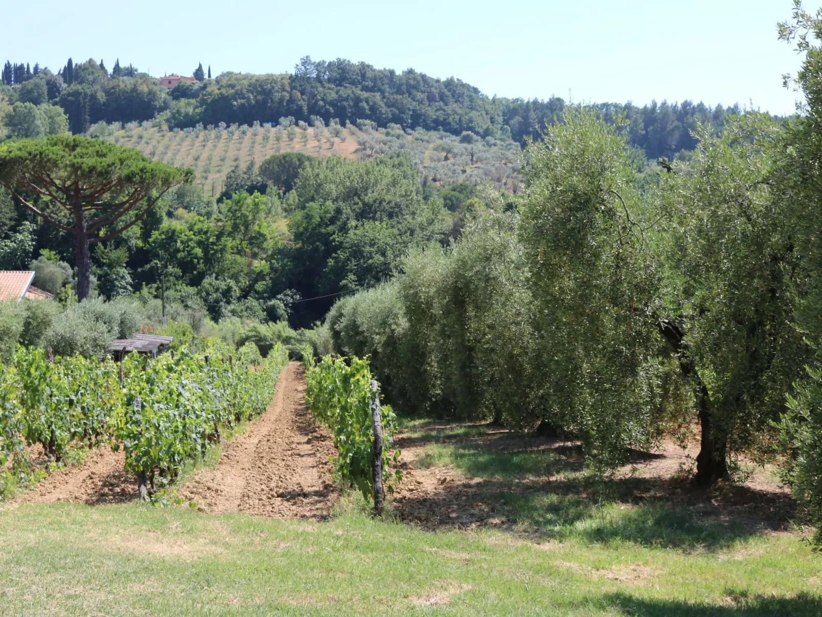 Unknown Accommodation-Binnen