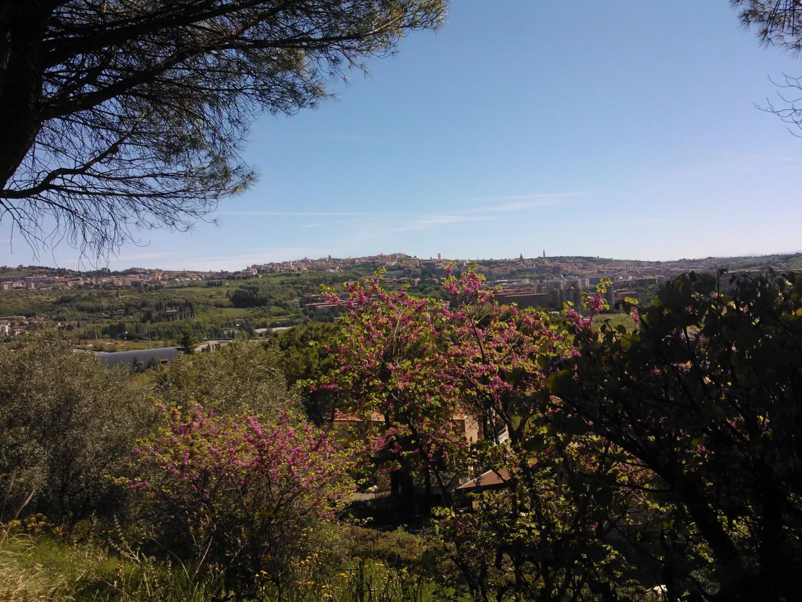 NICE LITTLE FLAT IN THE  GREENERY  IN PERUGIA-Buiten