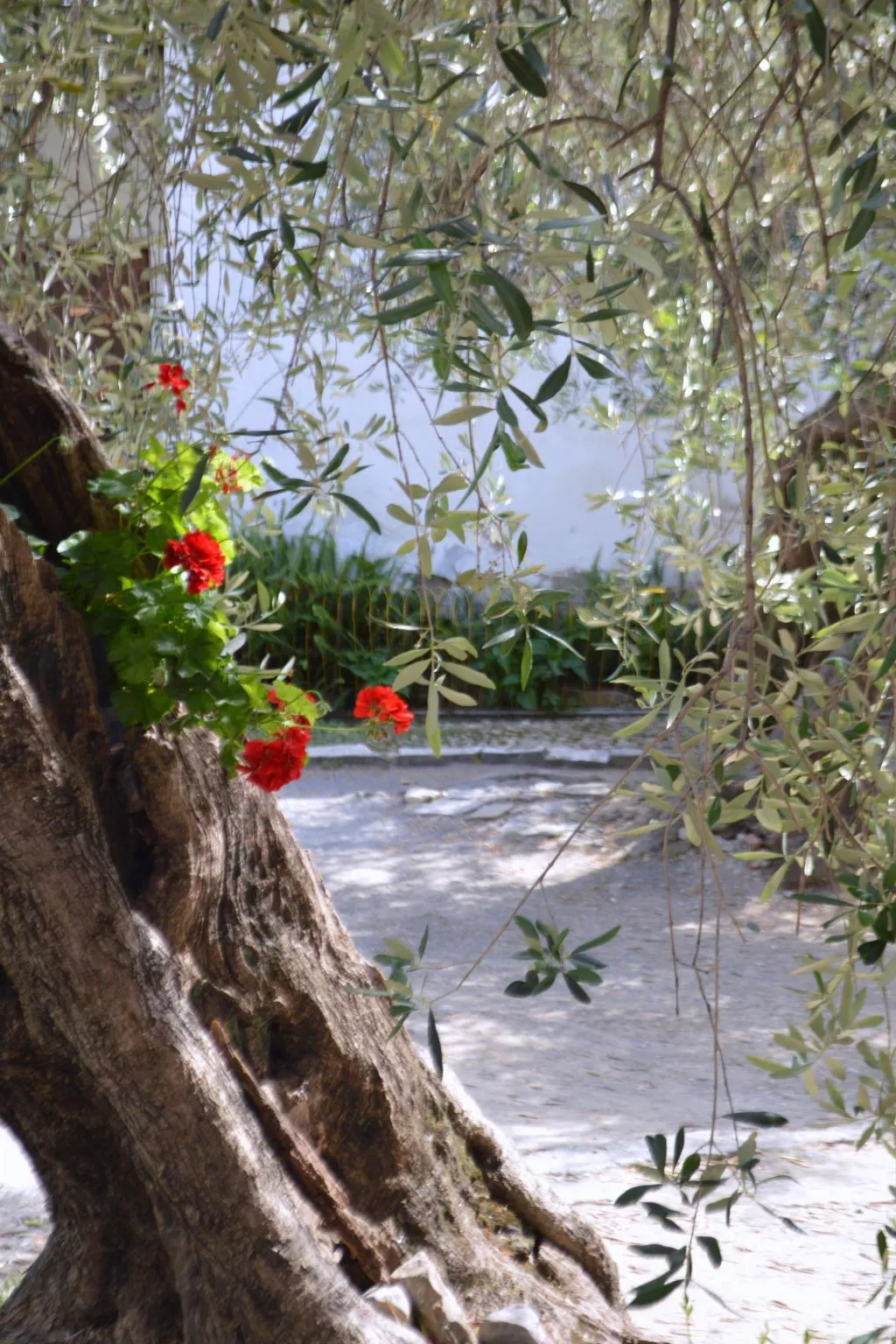 Charmantes Appartment in Diano San Pietro-Buiten