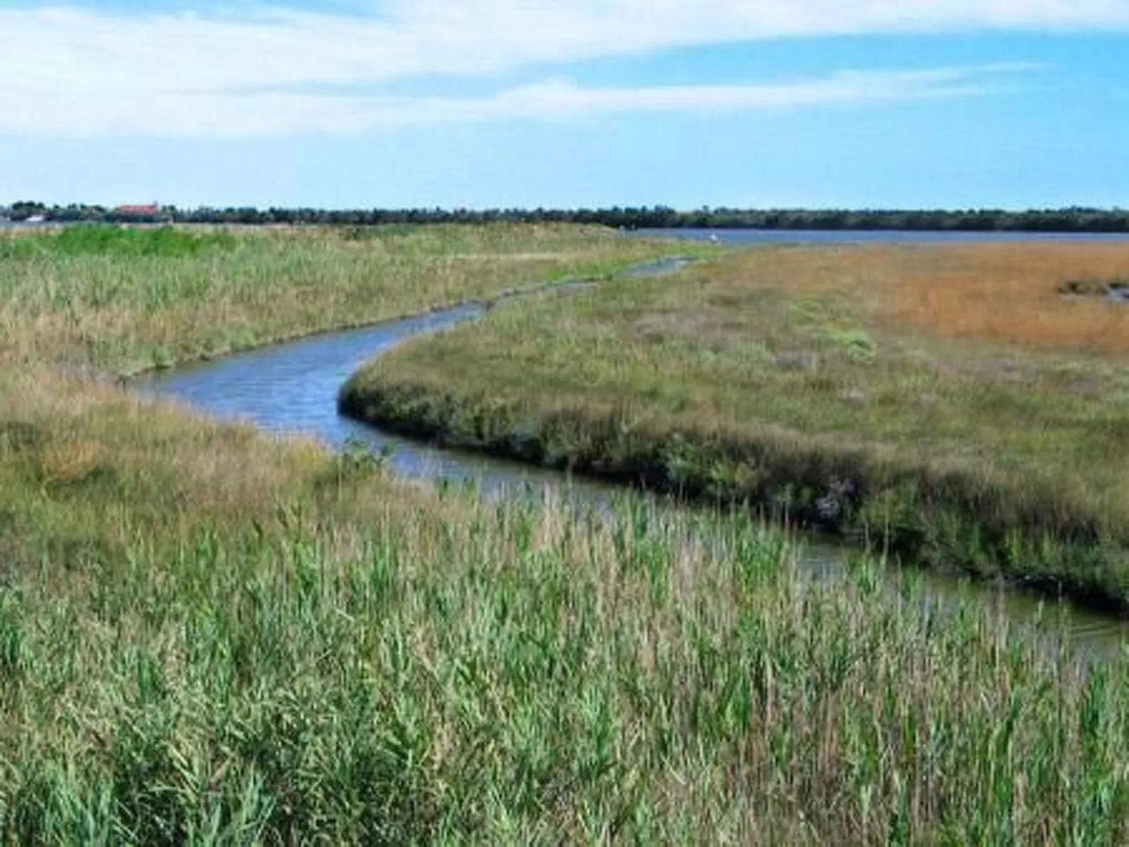 Elegante Wohnung in einer venezianischen Villa-Binnen