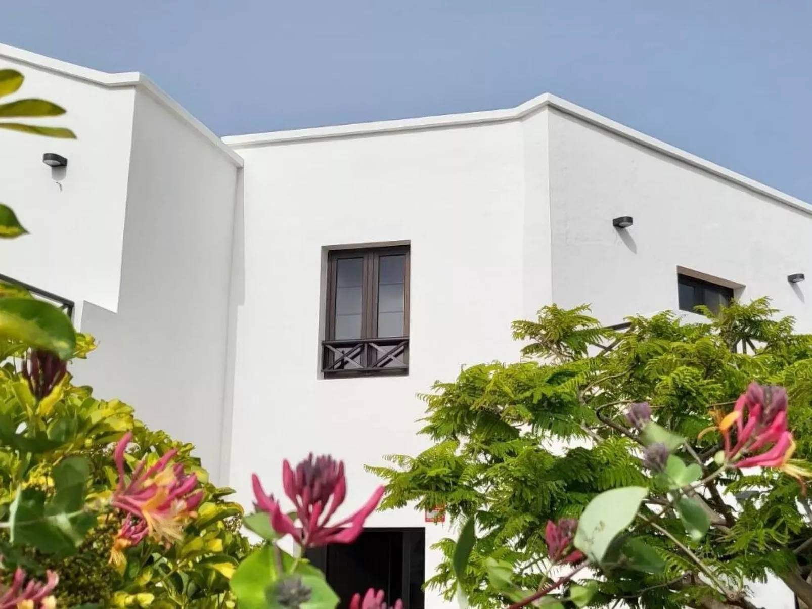 Casa Árbol del Fuego-Image-tags.info