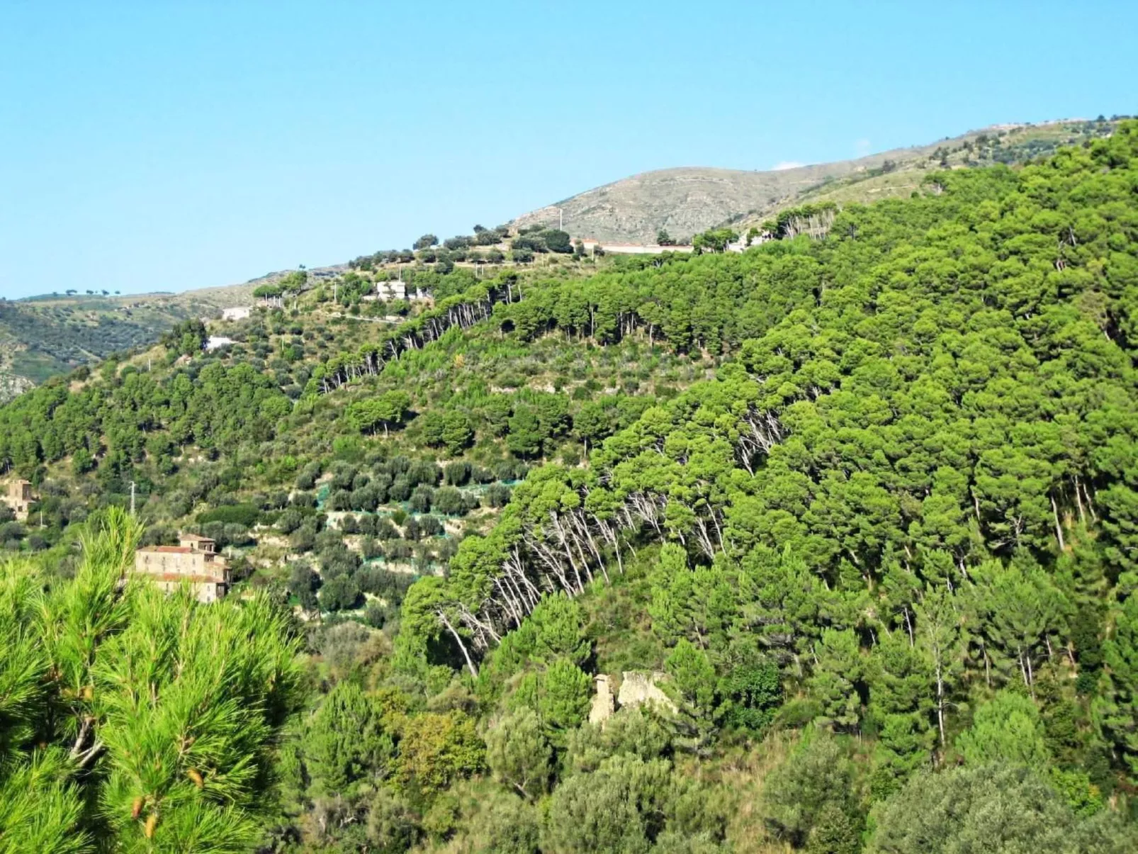 Schöne Ferienwohnug-Buiten