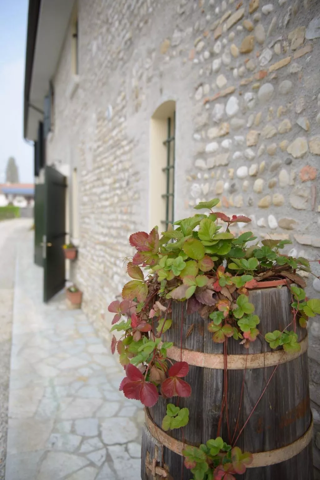Wohnung 'Rose' mit Terrasse-Buiten