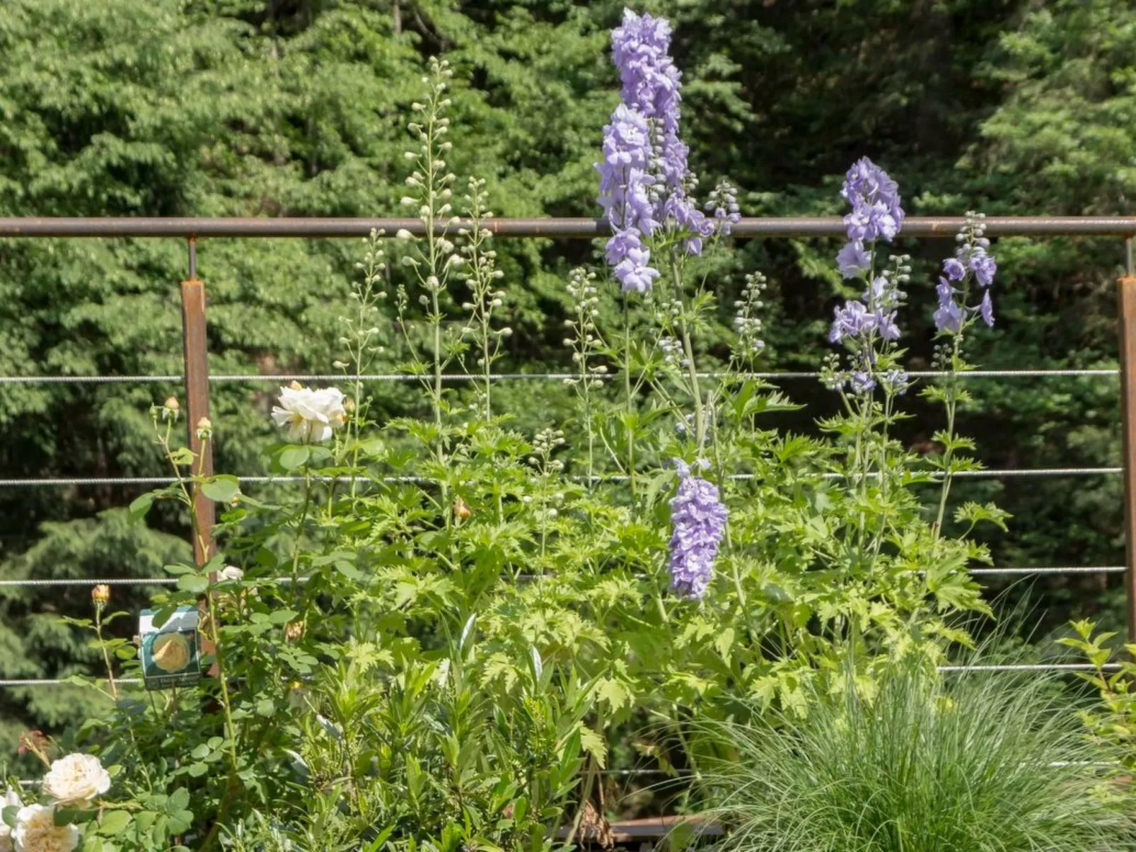 Chalet mit Sauna-Image-tags.info