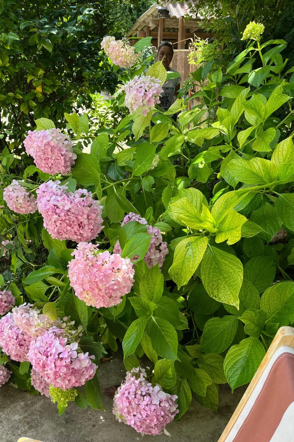 Typisches Bauernhaus mit holzbefeuertem Kamin-Binnen