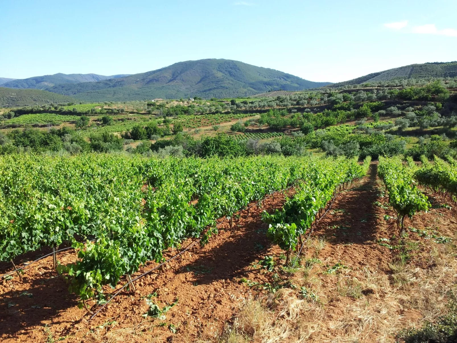 Wohnung in Sotoserrano mit Terrasse und Garten-Buiten