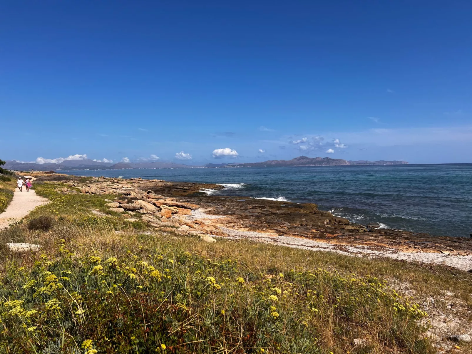 In Strandnähe-Image-tags.info