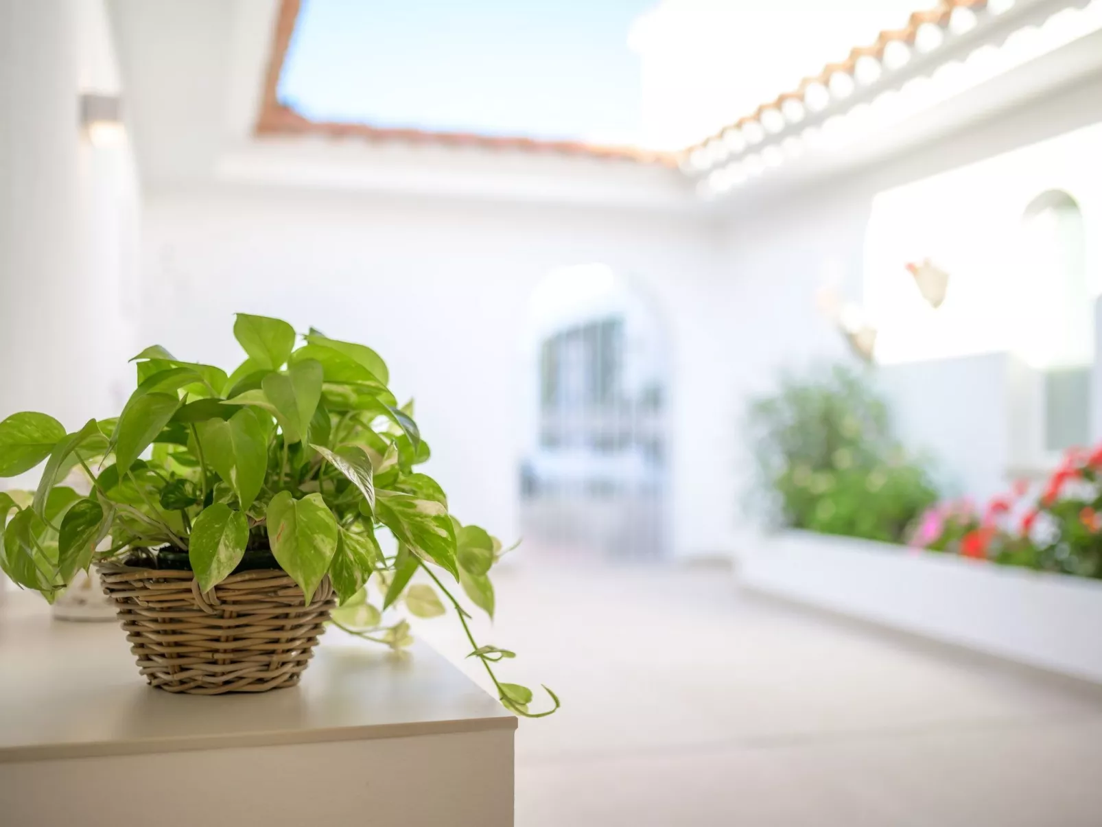 Villa Ponti A5 - direkt am Meer-Binnen