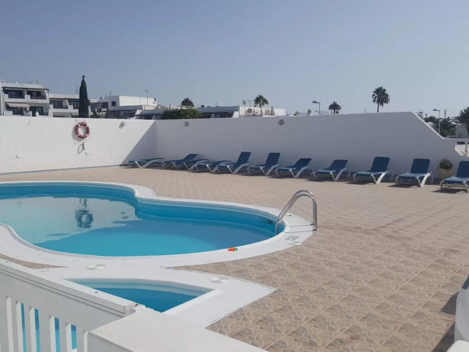 Widder vor dem Meer-Image-tags.info