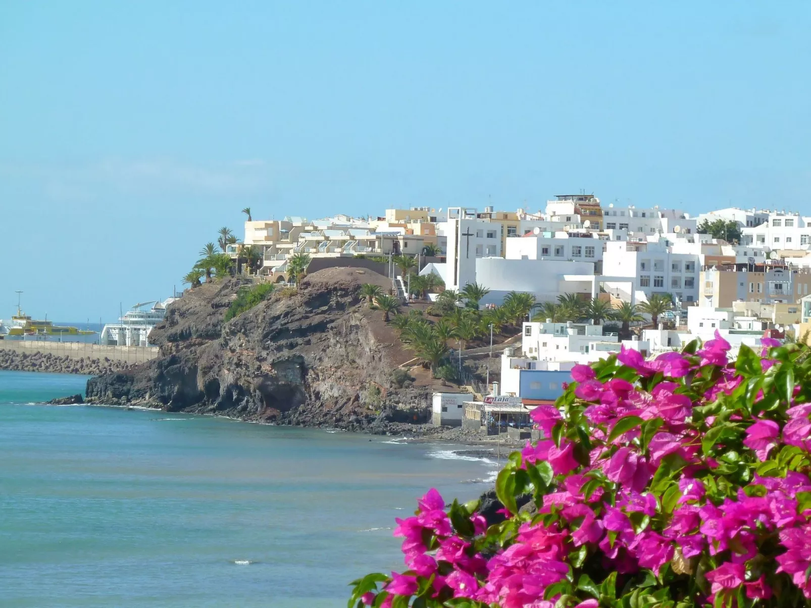 Tajinaste Terras-Binnen